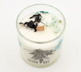 Agnes + Cat Botanical Soy Wax Candle - Seasalt & Moss