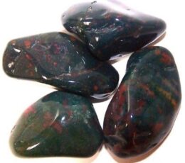 Pack of 24 Bloodstone L (B grade)