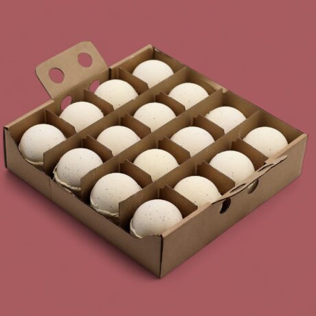 bG9jYWw6Ly9tZWRpYS8xTi9BRS82MFIzMEMxSjY0UjNBRTFOLzMyNjA2MTZiLmpwZw