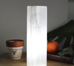 Selenite Block Lamp 25cm - Tree of Life