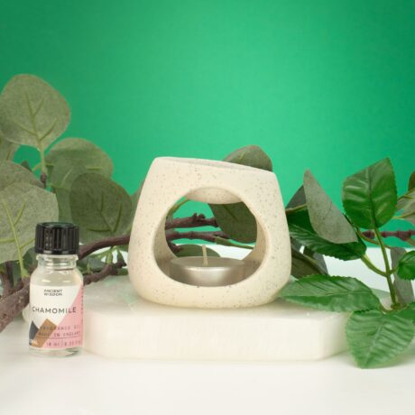 bG9jYWw6Ly9tZWRpYS8xUi9FRS82MFIzMEMxSjY4U0tFRTFSL2NiY2YxNzJhLmpwZw