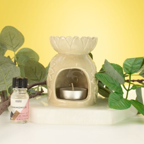 bG9jYWw6Ly9tZWRpYS9TUi9FRC82MFIzMEMxSjY4U0tFRFNSLzQ5YTI0ZGQyLmpwZw