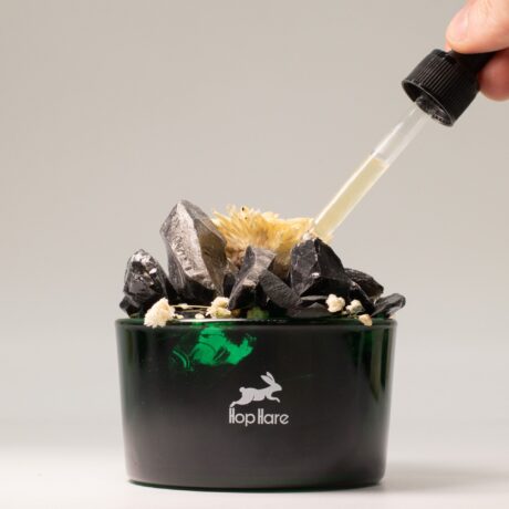 bG9jYWw6Ly9tZWRpYS8xUC84RS82MFIzMEMxSjZDUjM4RTFQL2JjNGUwNGU4LmpwZw