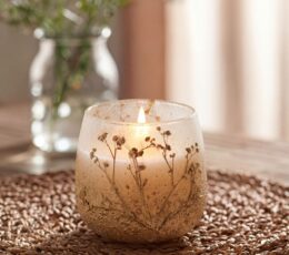 Medium Glass Jar Candles - Wildlight Woods