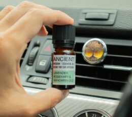 10ml Aromatherapy Car Blend - Grand Tour