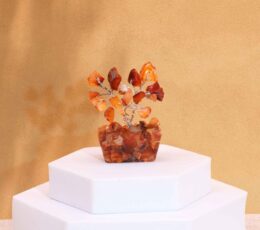 Mini Gemstone Trees On Orgonite Base - Carnelian (15 stones)