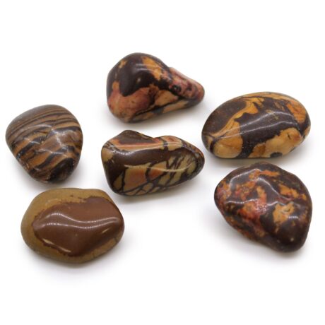bG9jYWw6Ly9tZWRpYS85SC9KQy82MFIzMEMxRzZSVEtKQzlILzYwZjFiYjk4LmpwZWc