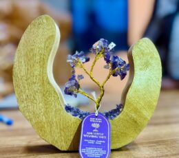 Gemstone Tree Garden - Mango Wood Open Ring - Amethyst - 60 chipstones