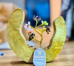 Gemstone Tree Garden - Mango Wood Open Ring - Seven Chakra - 60 chipstones