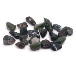 Pack of 24 L Tumble Stones - Green Moss L