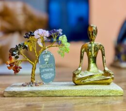 Gemstone Yoga Garden - Mudra Pose - Seven Chakra - Tilted Tree - 100 chipstones