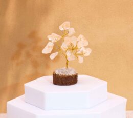 Mini Gemstone Trees On Wood Base - Rock Quartz (15 stones)