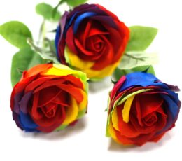 Luxury Soap Flower - Rainbow
