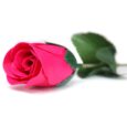 bG9jYWw6Ly9tZWRpYS8xRy9DRC82MFIzMEMxSDcwV0tDRDFHLzAyMzMwNDI3LmpwZWc