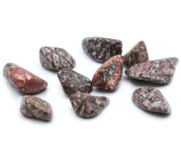 Pack of 24 L Tumble Stone - Leopard Skin Jasper L
