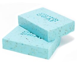 Greenman Soap 100g - Morning Fresh
