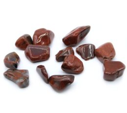 Pack of 24 L Tumble Stones - Petrified Wood L