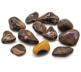 Bag of 12 Medium African Tumble Stones - Picture Nguni