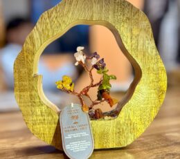 Gemstone Tree Garden - Mango Wood Ring - Seven Chakra - 60 chipstones