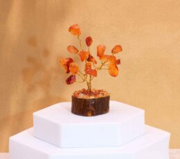 Mini Gemstone Trees On Wood Base - Carnelian (15 stones)