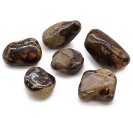 Bag of 6 Large African Tumble Stones - Jasper Nguni