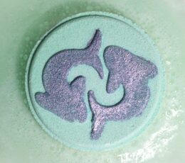 Set of Zodiac Bath Fizzers with Horoscope - Pisces
