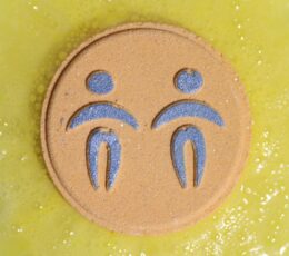 Set of Zodiac Bath Fizzers with Horoscope - Gemini