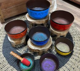 Small Chakra Set of  Seven Singing Bowls (14-22cm)