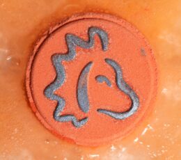 Set of Zodiac Bath Fizzers with Horoscope - Leo
