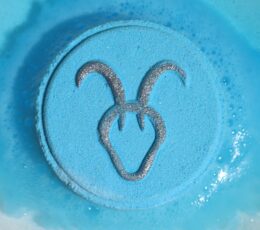 Set of Zodiac Bath Fizzers with Horoscope - Capricorn