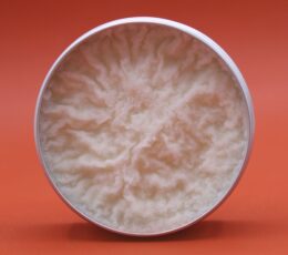 Aromatherapy Shea Body Butter 90g - Grapefruit