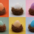 bG9jYWw6Ly9tZWRpYS9TSi8wRC82MFIzMEMxRzcwUkswRFNKLzE3MDQwM2IxLmpwZWc