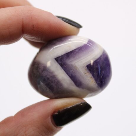 bG9jYWw6Ly9tZWRpYS9TSi9KRC82MFIzMEMxRzZSVEtKRFNKLzFjMjY1Zjc1LmpwZWc