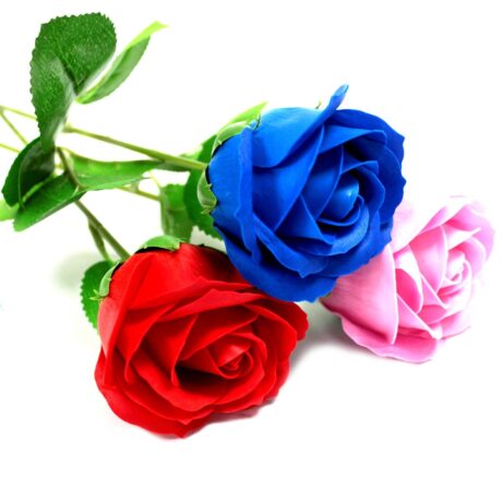 bG9jYWw6Ly9tZWRpYS9TUC9BRC82MFIzMEMxRzZHVjNBRFNQLzE5YmI3OGNhLmpwZWc