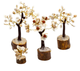 Gomati Chakra Circle Stone Trees - Set of 4
