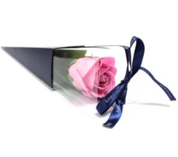 Single Rose - Pink Rose