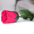 bG9jYWw6Ly9tZWRpYS9TUy9DQy82MFIzMEMxSDcwV0tDQ1NTL2I2YWFlZDBjLmpwZWc
