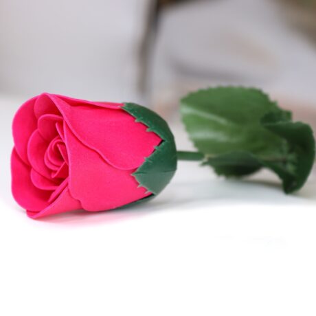 bG9jYWw6Ly9tZWRpYS9TUy9DQy82MFIzMEMxSDcwV0tDQ1NTL2I2YWFlZDBjLmpwZWc